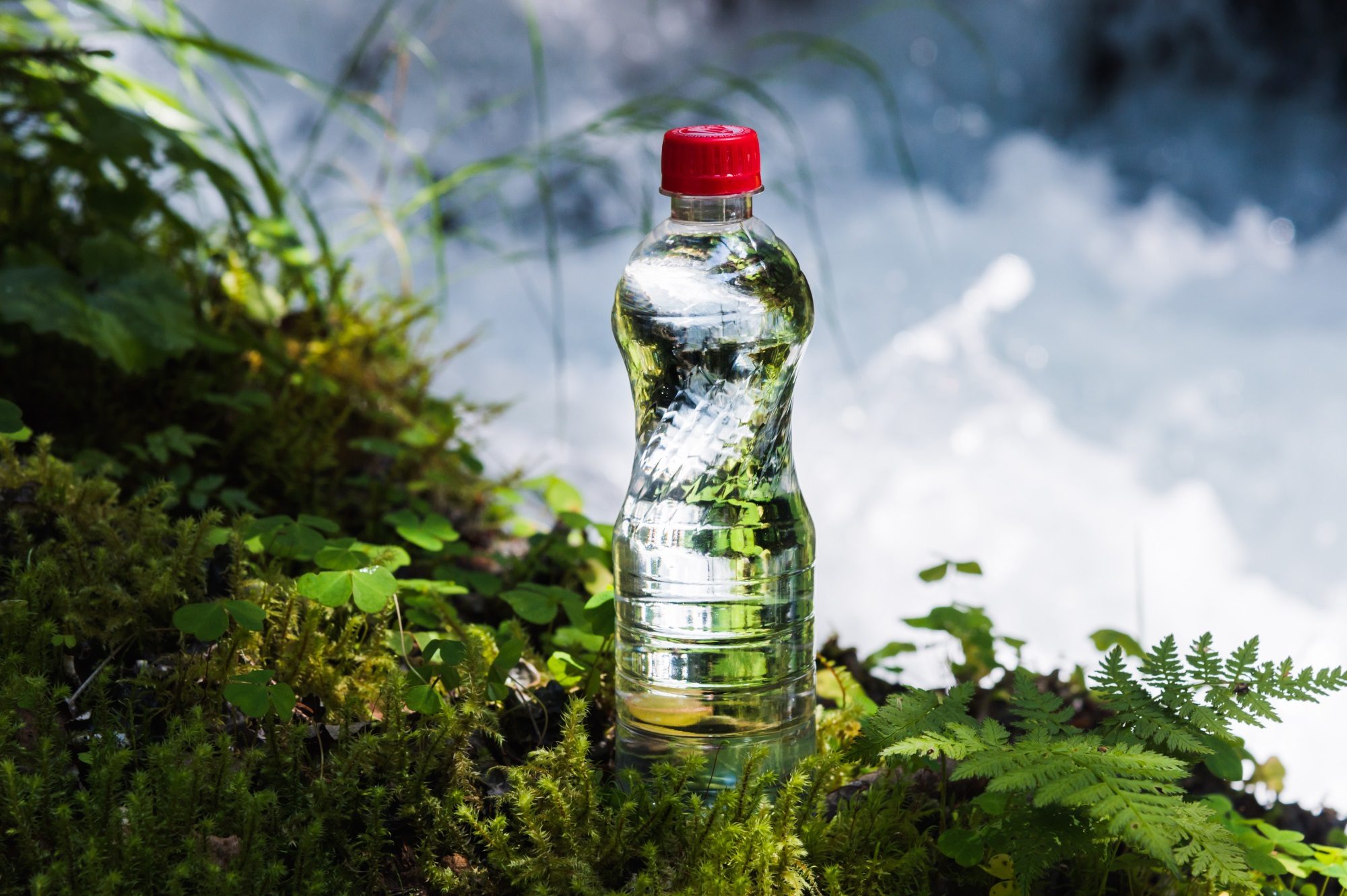 Nachhaltigkeit & Verpackung am Beispiel einer Plastikflasche in der Natur