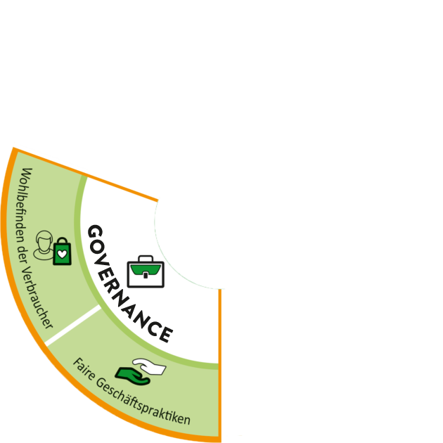 sustainable-procurement-circle-governance-630x630_deutsch