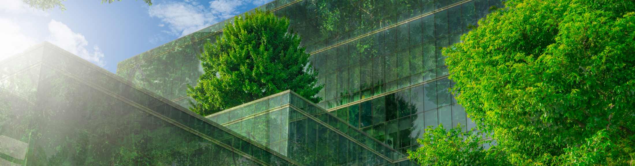 Eco-friendly building with vertical garden in modern city. Green tree forest on sustainable glass building. Energy-saving architecture with vertical garden. Office building with green environment.