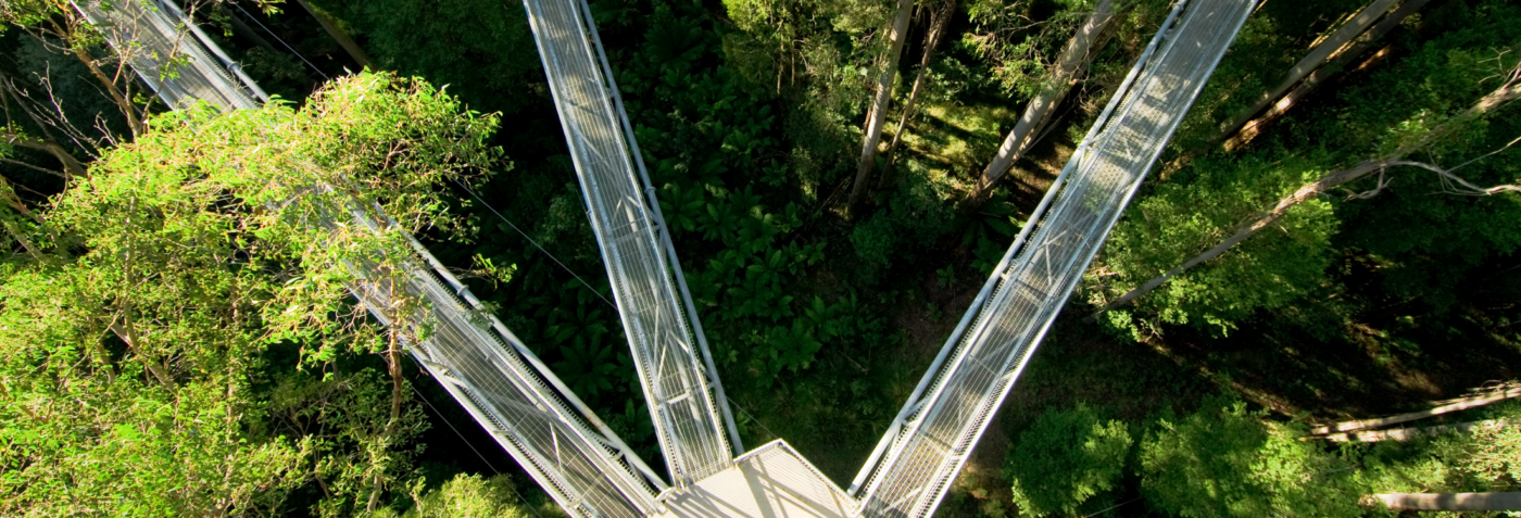 Sustainable Procurement Whitepaper 2023