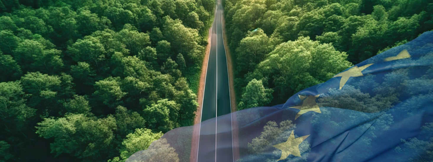 Corporate Sustainability Due Dilligence Umfrage